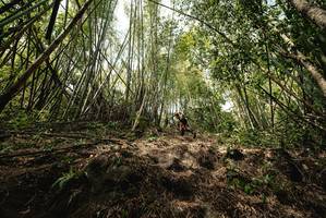 BIB: 
                            <button type="button" onclick="openModal(22242926)" class="btn btn-primary btn-sm float-right btn-popup" data-toggle="modal" data-target=".modal-high-quality">
                        <i class="fas fa-shopping-cart"></i> Add to Cart
                    </button>
                                            <button type="button" onclick="isThisMe(22242926, true)" class="btn btn-success btn-sm float-right btn-popup btn-isme hidden" data-toggle="tooltip" data-placement="bottom" title="นี่คือรูปของคุณใช่ไหม คลิกที่นี่เพื่อเอาเข้าอัลบั้ม">
                        <i class="fas fa-plus"></i> Add to album
                    </button>
                    <button type="button" onclick="isThisMe(22242926, false)" class="btn btn-warning btn-sm float-right btn-popup btn-isnotme hidden">
                        <i class="fas fa-ban"></i> Remove from album
                    </button>